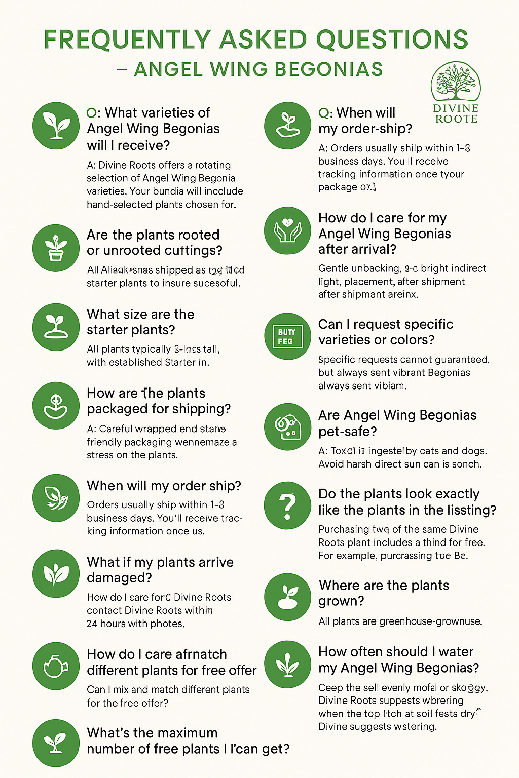 Angel Wing Begonia Assorted Starter Plant Bundle