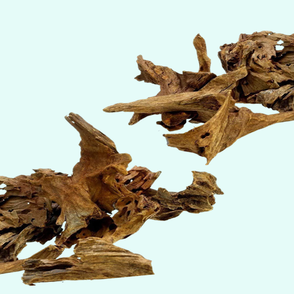 Malaysian Drift Wood Aquascaping Aquarium Decoration