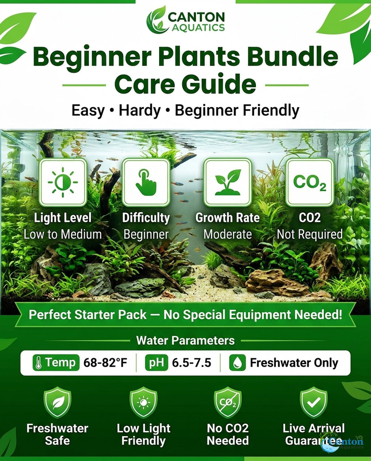CANTON AQUATICS Beginner's 10-Pack Aquarium Live Plants Bundle - Ideal for Freshwater Tanks - Easy Care, Low Maintenance, & Vibrant Greenery for a Thriving Aquatic Habitat - 10 Plant Bundle