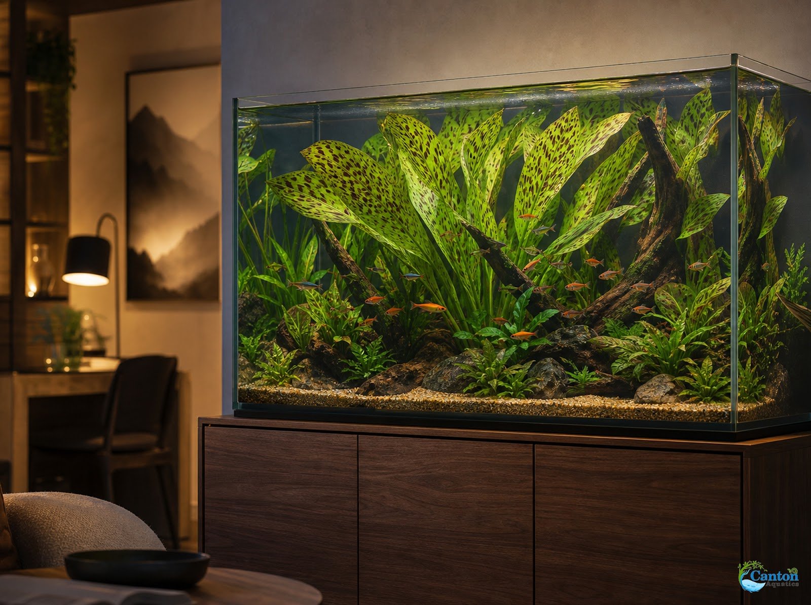 Amazon Sword Echinodorus "Green Ozelot"