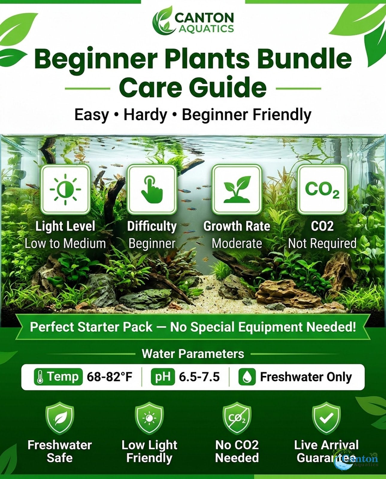 Beginner Aquatic Plants Bundle 30 Plant Pack