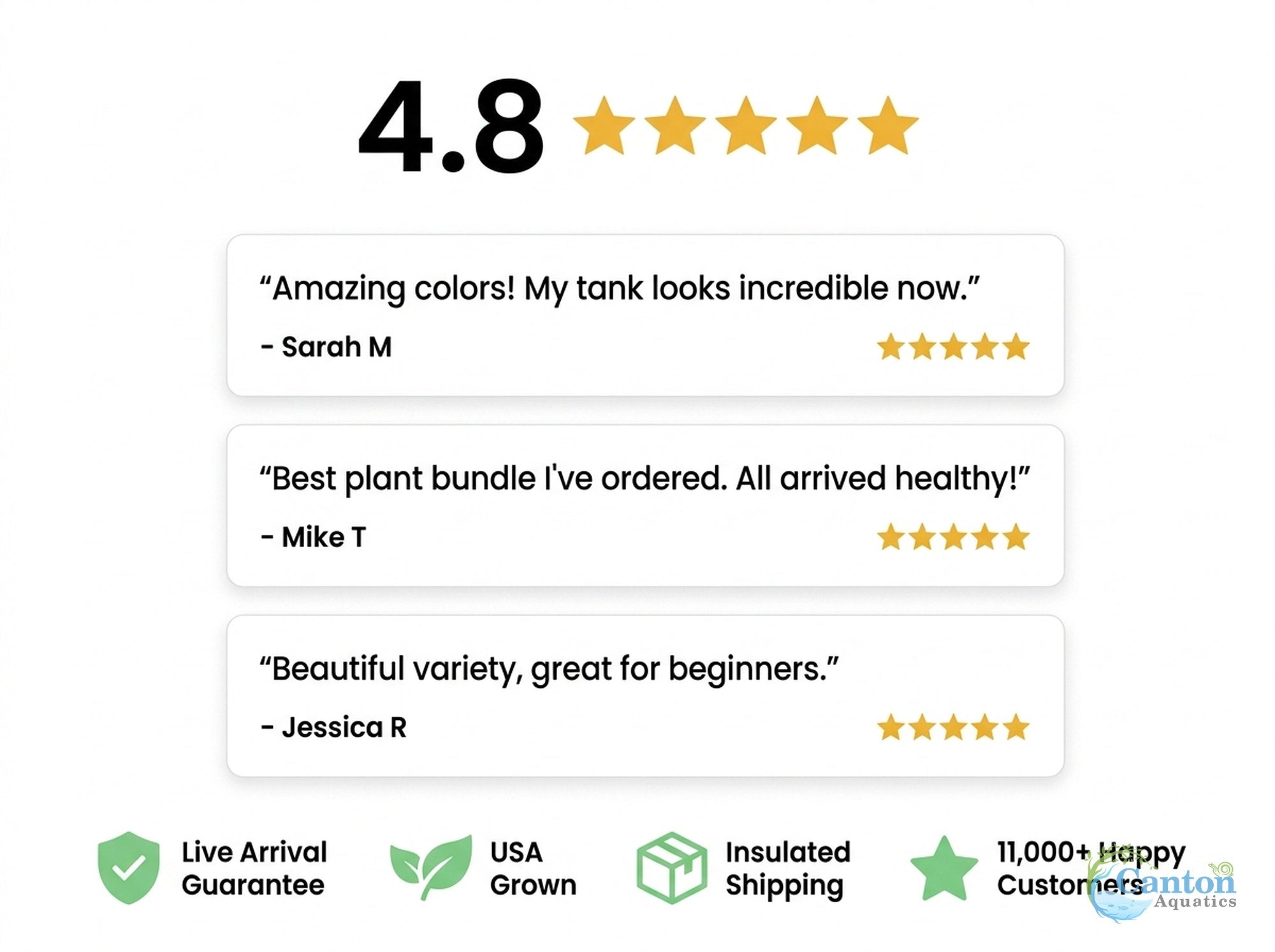 Bright Color Aquarium Plant Bundle – 6 Stunning Live Plants