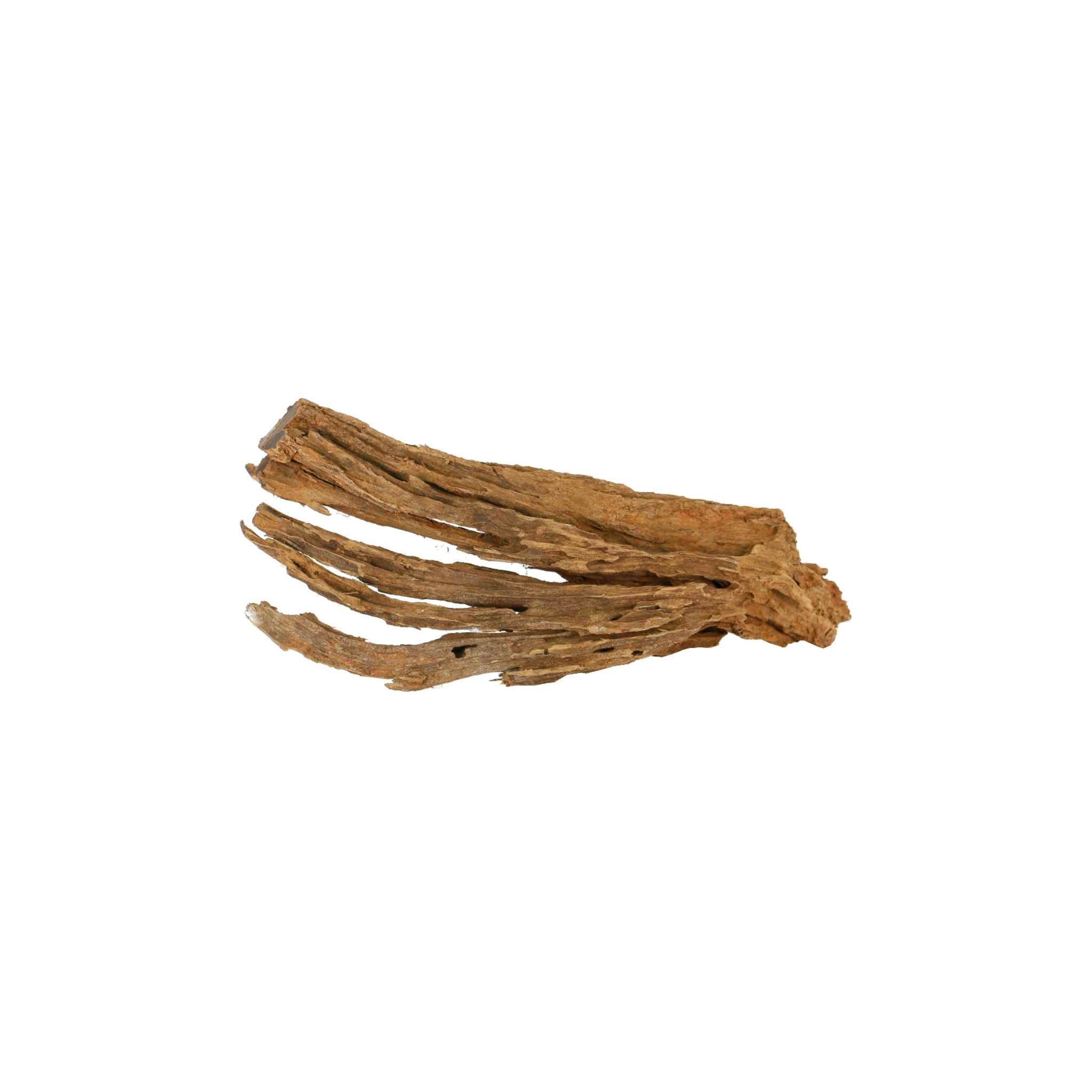 Malaysian Drift Wood Aquascaping Aquarium Decoration