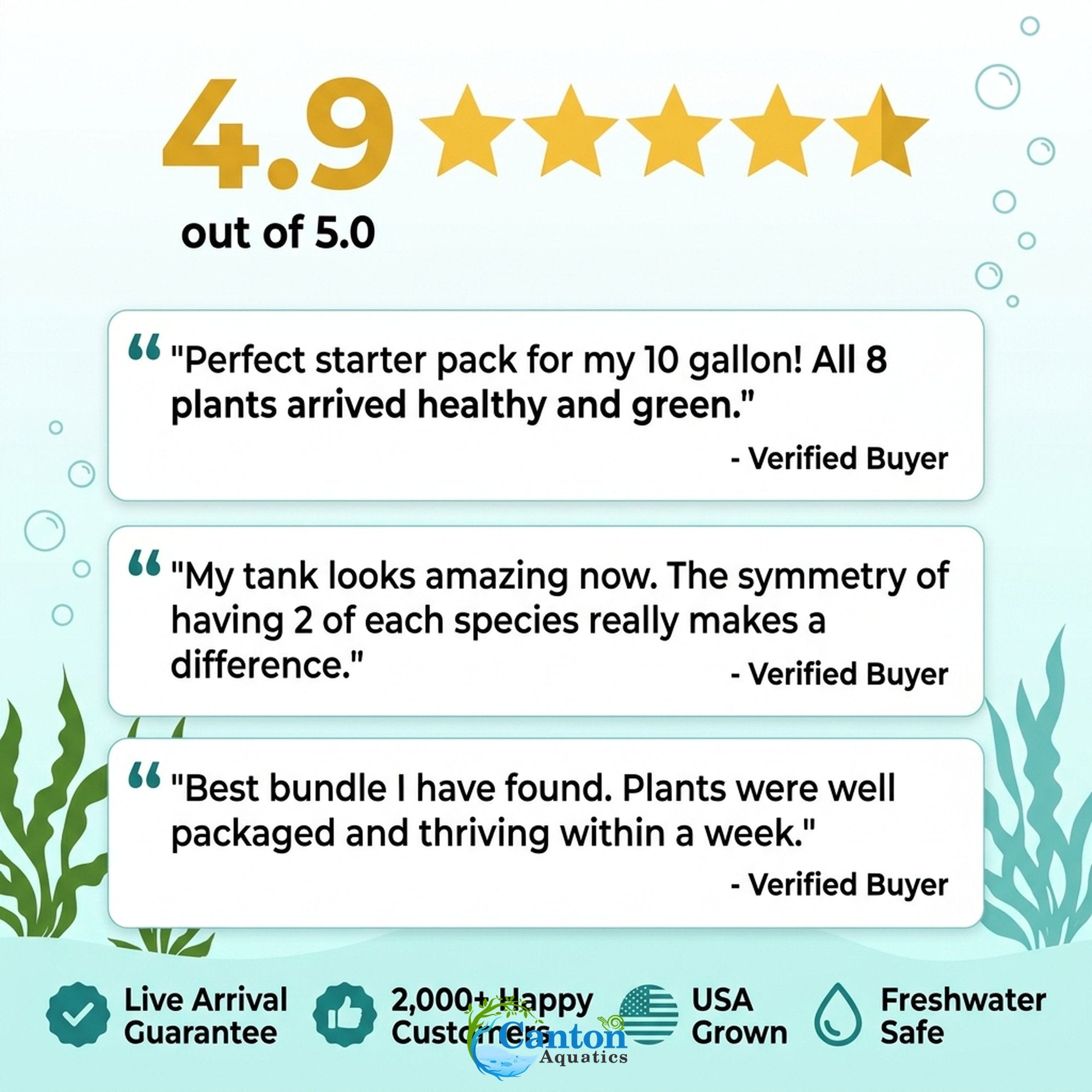 Live Aquarium Plants Essential Bundle - 4 Plants