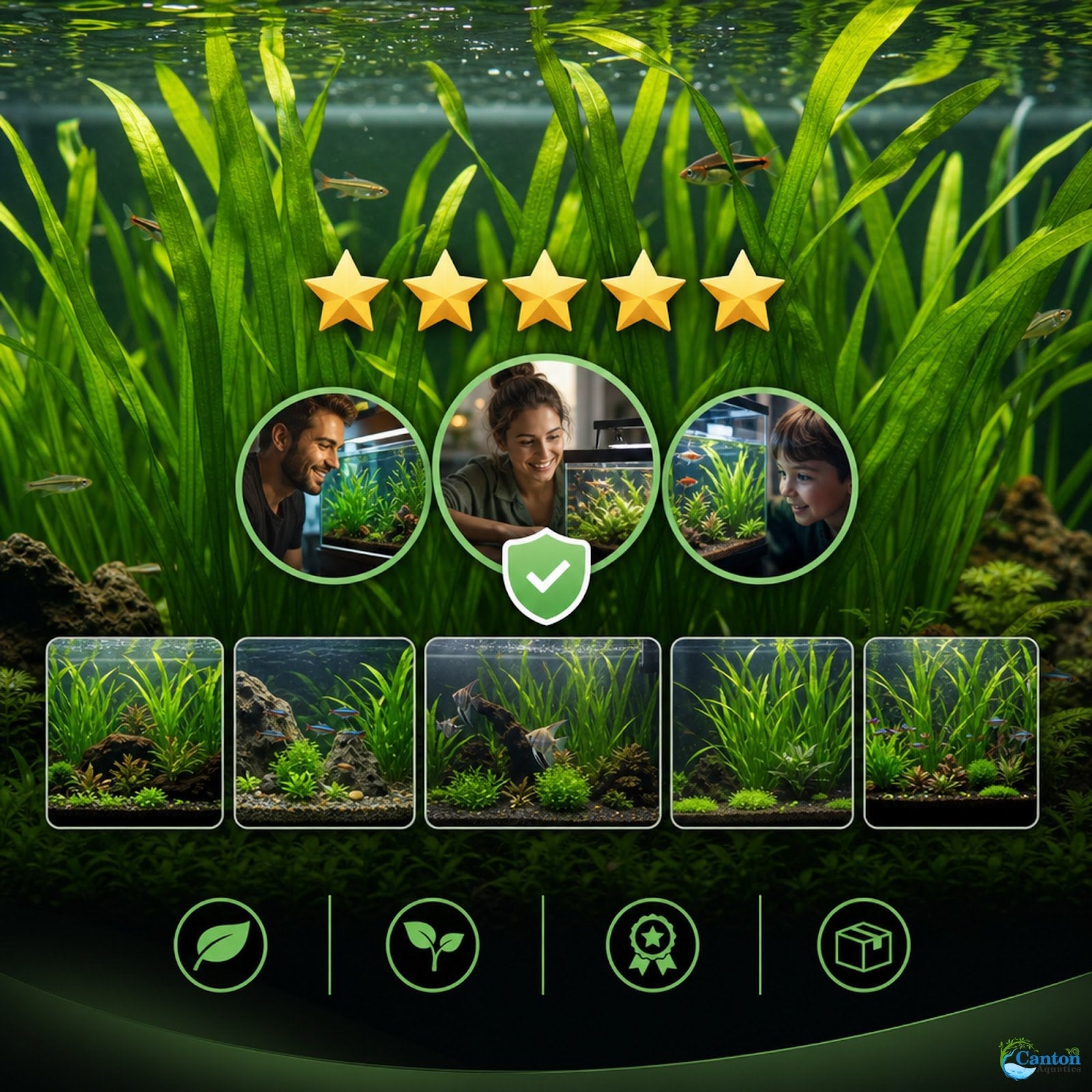 18 Lush Jungle Vallisneria Plants