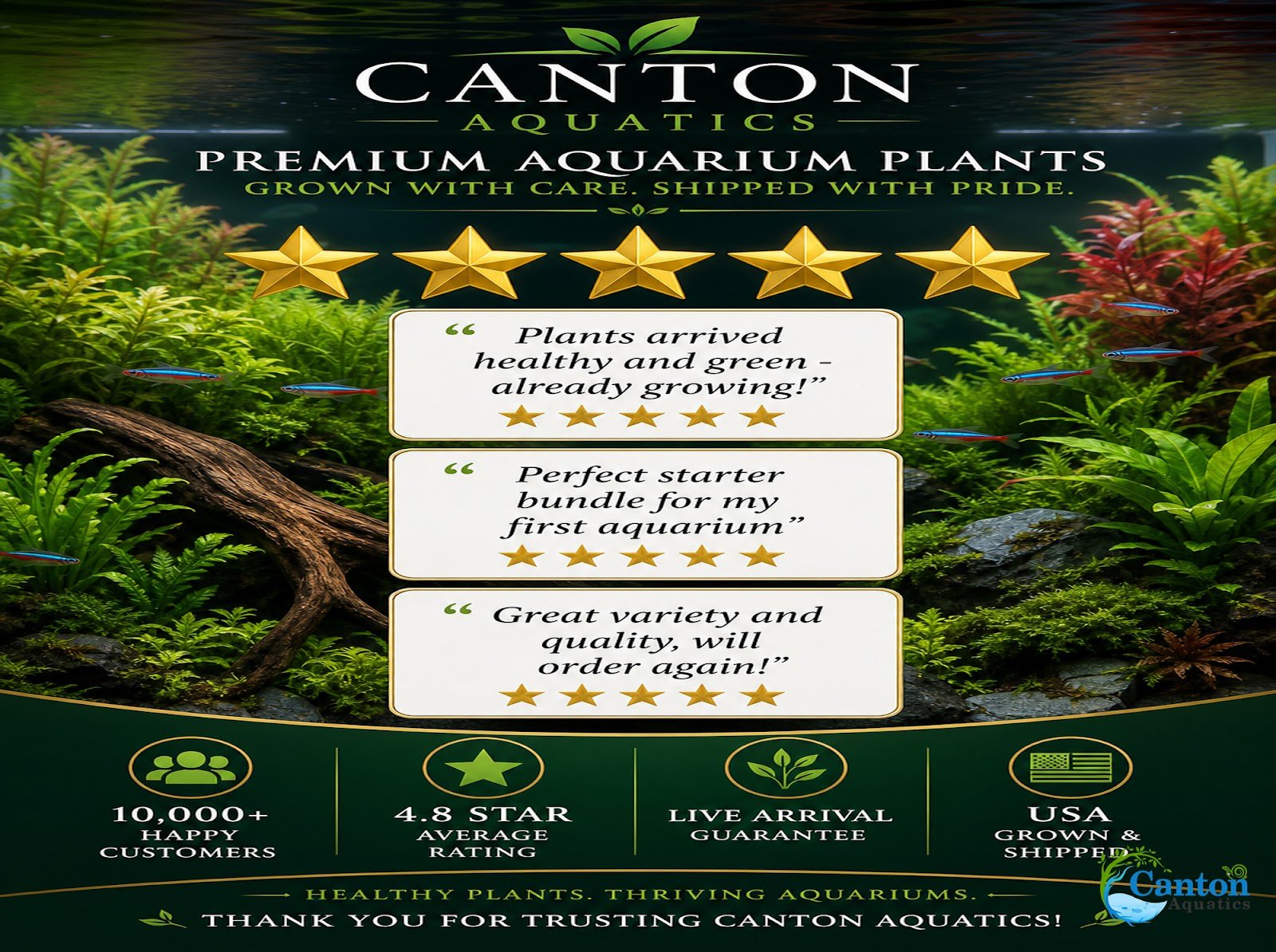 Assorted Mixed Plant Bundle