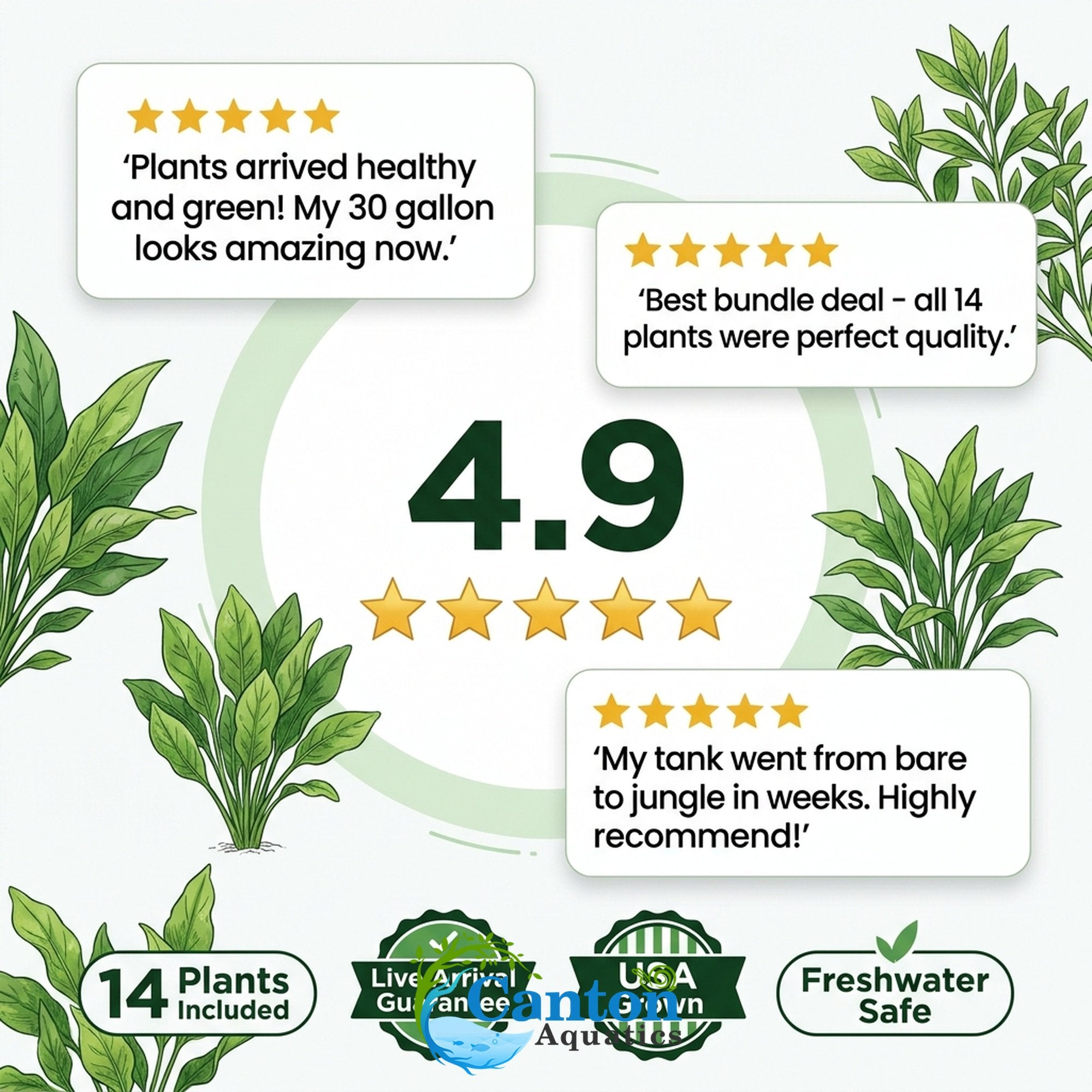 Live Aquarium Plants Essential Bundle - 4 Plants